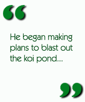 He began making plans to blast out the koi pond...