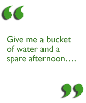 Give me a bucket of water and a spare afternoon….