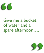 Give me a bucket of water and a spare afternoon.