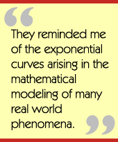 They reminded me of the exponential curves arising in the mathematical modeling of many real world phenomena.