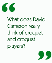 What does David Cameron really think of croquet and croquet players?