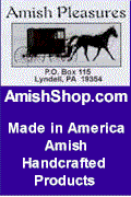 Amish Pleasures
